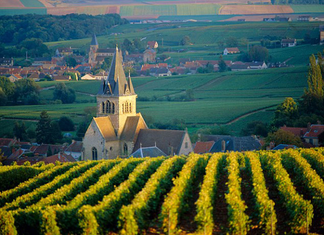 Vineyard and church, Ville Dommange, Champagne, France